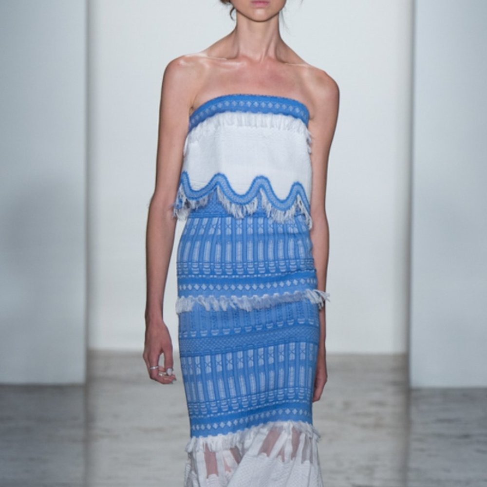 Jonathan Simkhai Blue Scaffold Dress